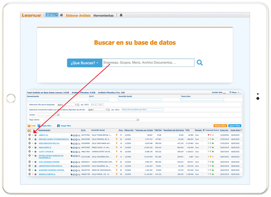 preview-of-software-leanus-Buscar-en-la-BD-de-empresas-italianas