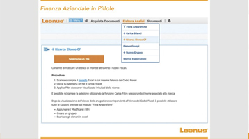 Con Leanus puoi ricercare le imprese del Database attraverso un lungo elenco di codici fiscali